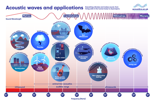 schematic showing wavelengths of acoustic waves and the phenomena that are associated with them.  For example earthquakes, wind turbines and thunder in the metres range, traffic noise, underwater sounds and music in the cm range, and medical ultrasound in the mm range