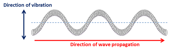 Illustration of a transverse wave on a slinky showing direction of vibration perpendicular to direction of wave propagation