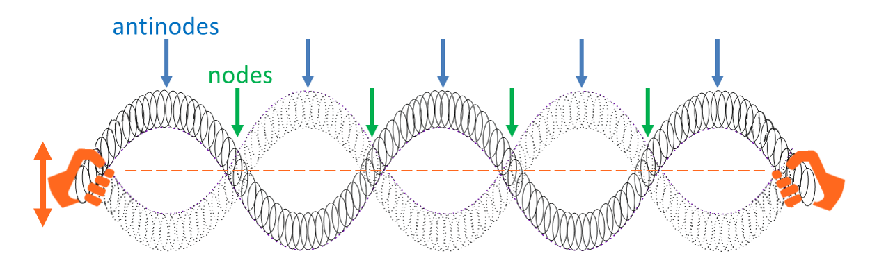 Illustration of a standing wave on a slinky with nodes and antinodes indicated